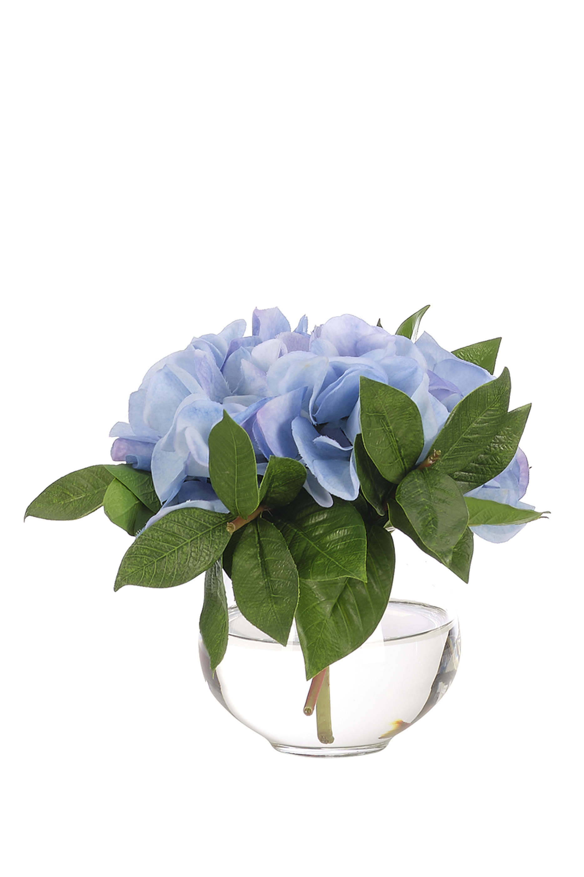 باقة زهور هايدرنجا في مزهرية زجاجية