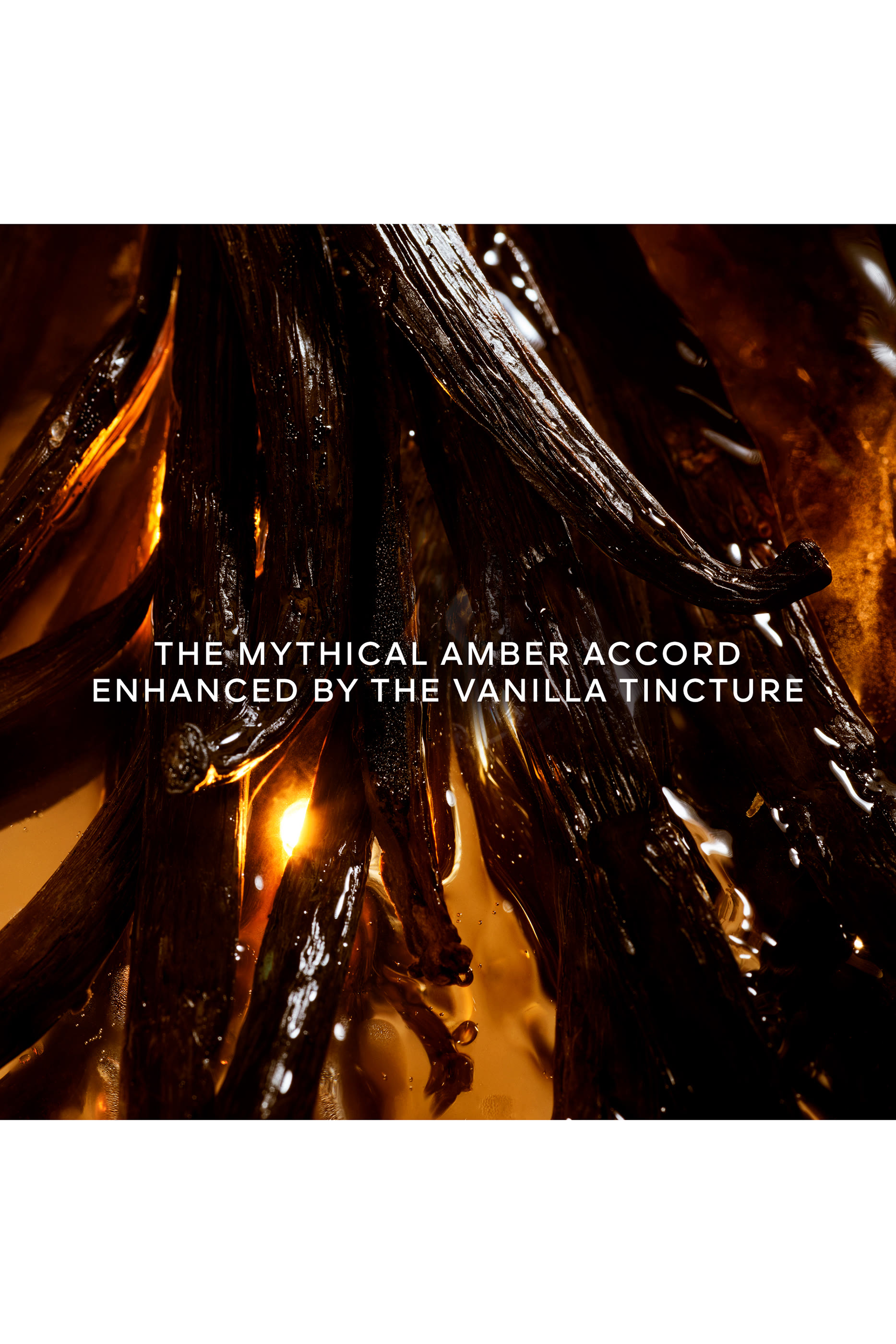 أو دو بارفان شاليمار ليسنس انتنس