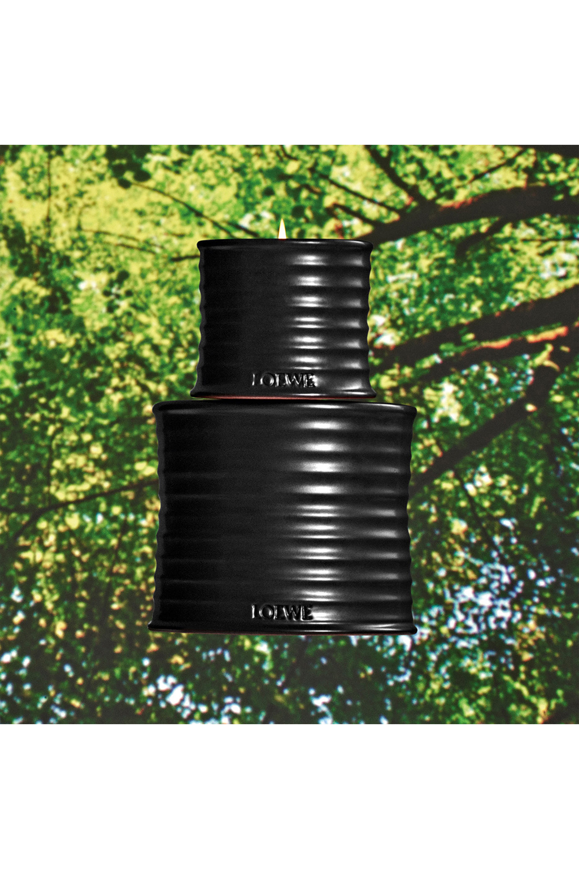 شمعة سانتو بالو متوسطة