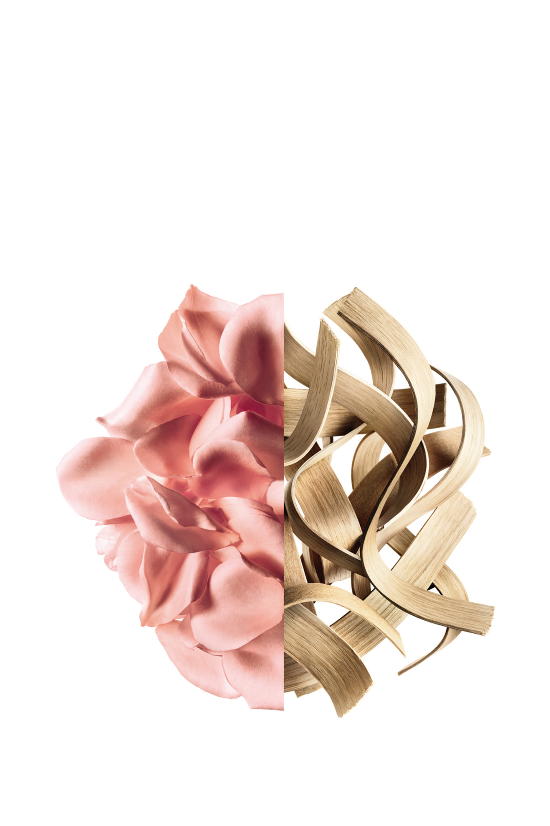 أو دو بارفان إرسيستبل روز فيلفت