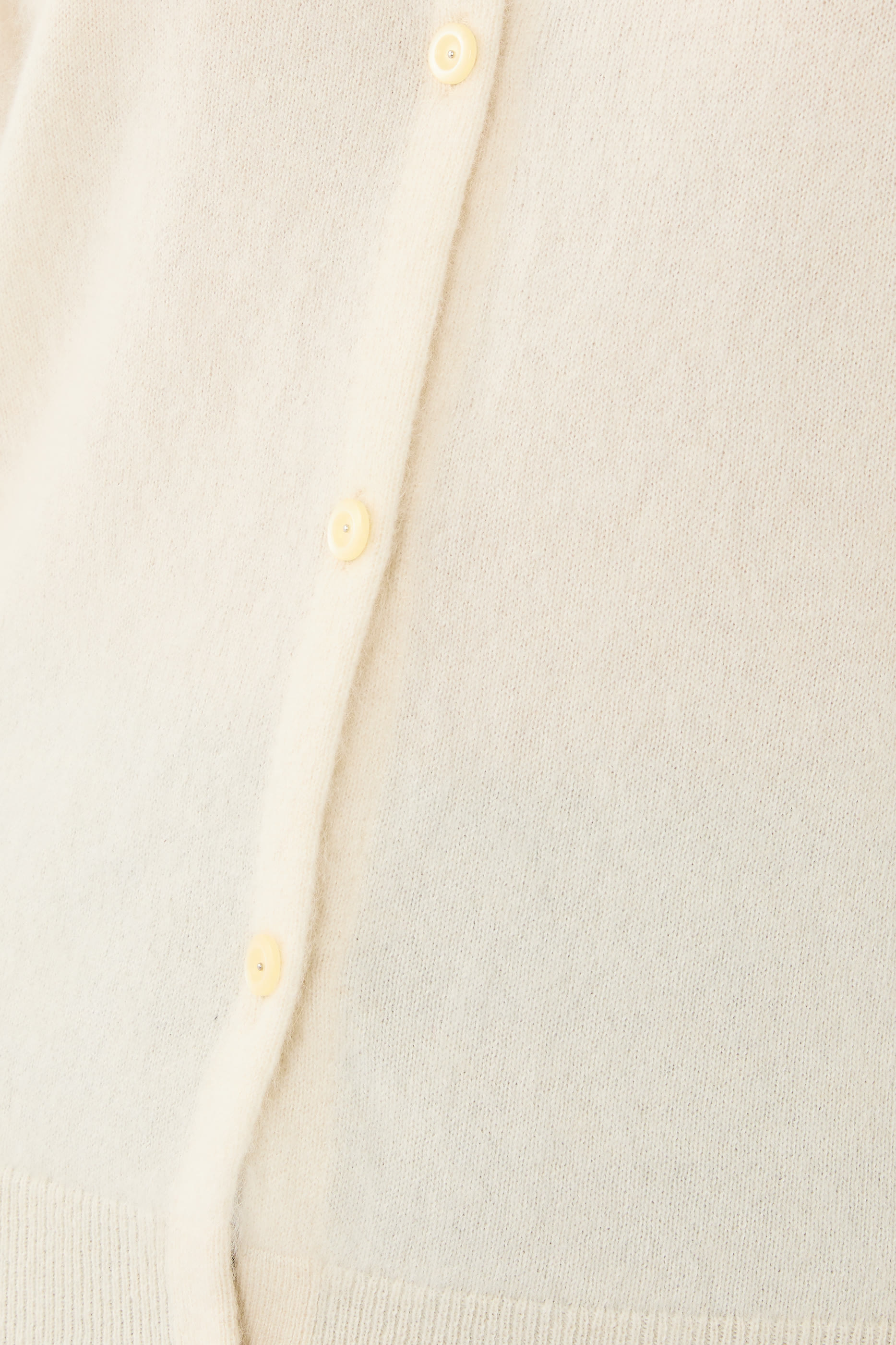 كارديغان براش سي