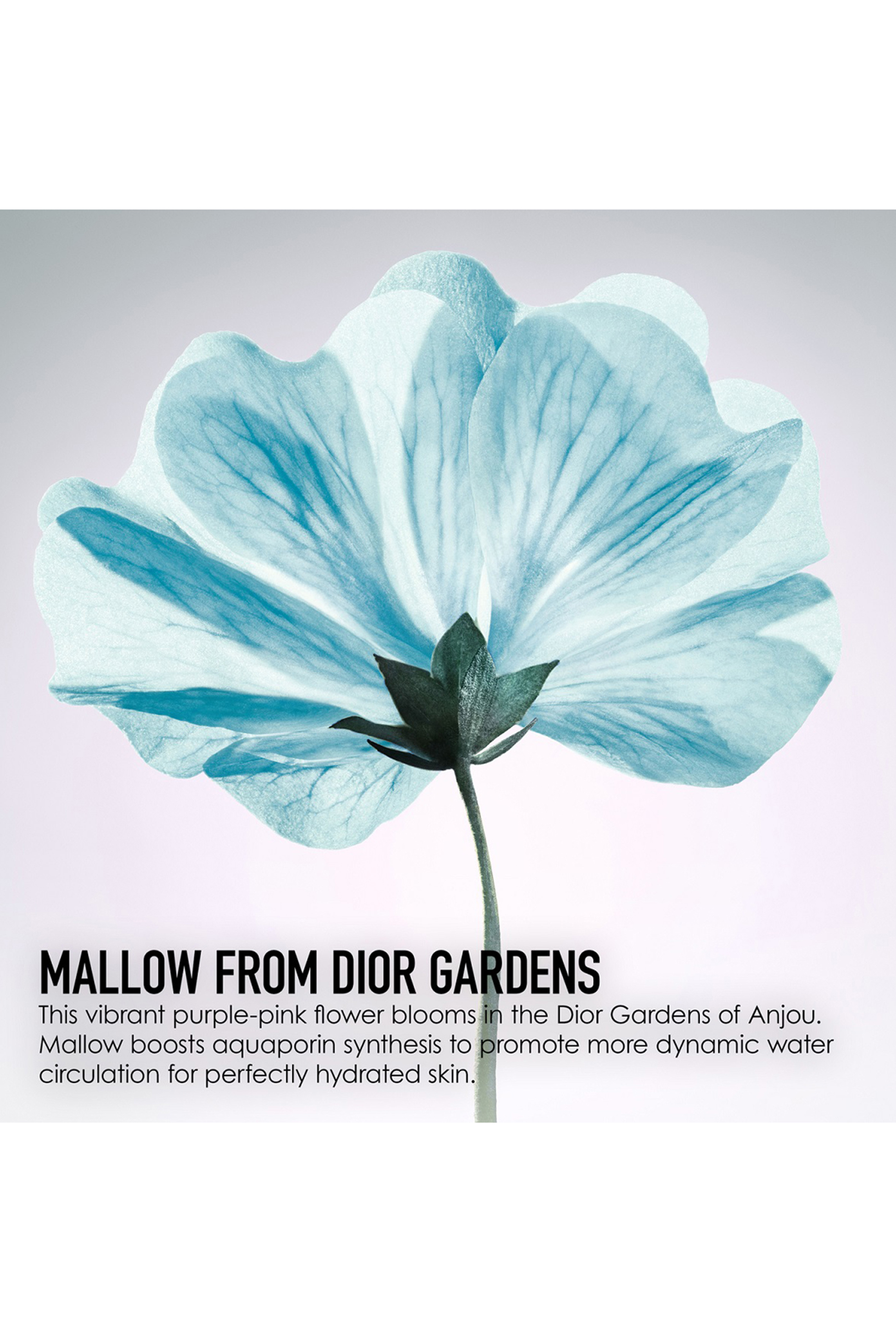 مستحضر ديور هيدرا لايف للترطيب العميق - سوربيه ووتر