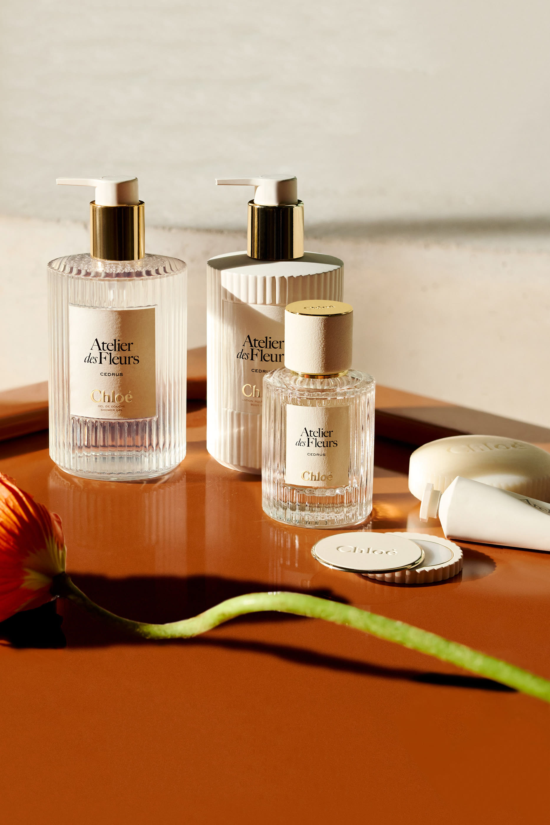 شاور جل ماغنوليا ألبا من مجموعة أتيليه ديه فلورز