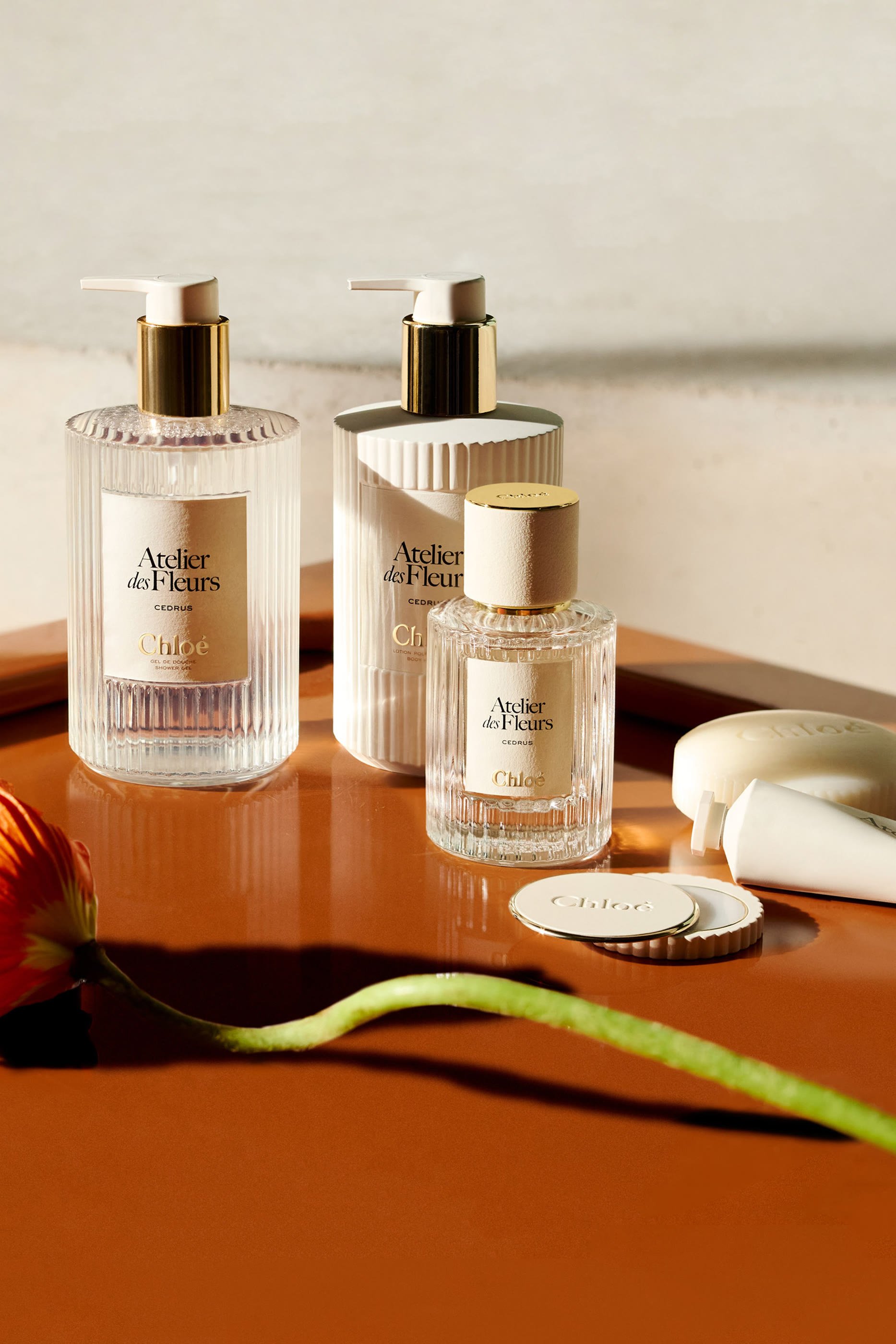 شاور جل معطر اتولييه دي فلور هايسوب