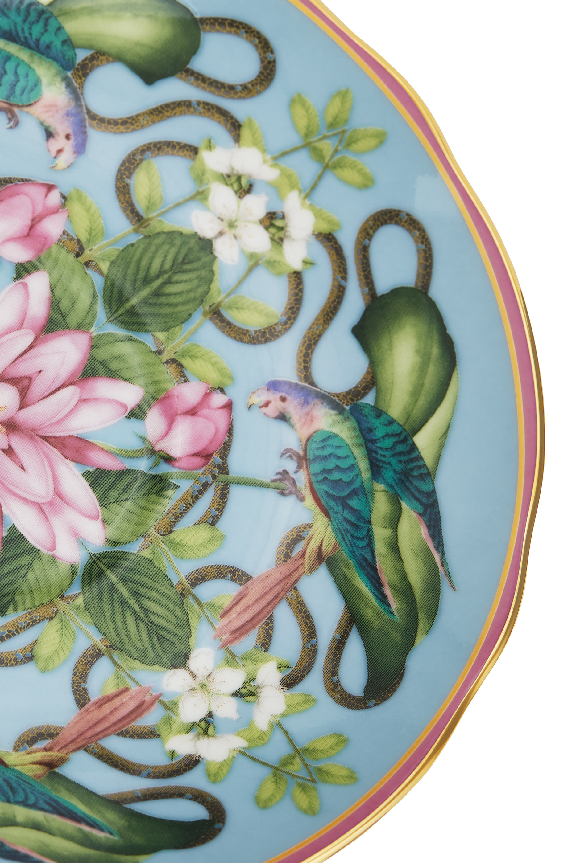 Wonderlust Menagerie Teacup & Saucer